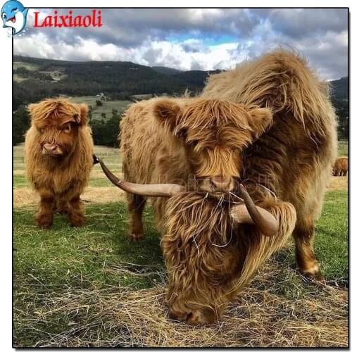 5D DIY Diamond Painting Cow Animal Full Square/Round Resin Diamond Embroidery Highland Cattle Picture Cross Stitch Home Decor
