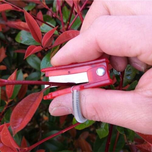 Vegetable Thump Knife Separator Vegetable Fruit Harvesting Picking Tool for Farm Garden Orchard