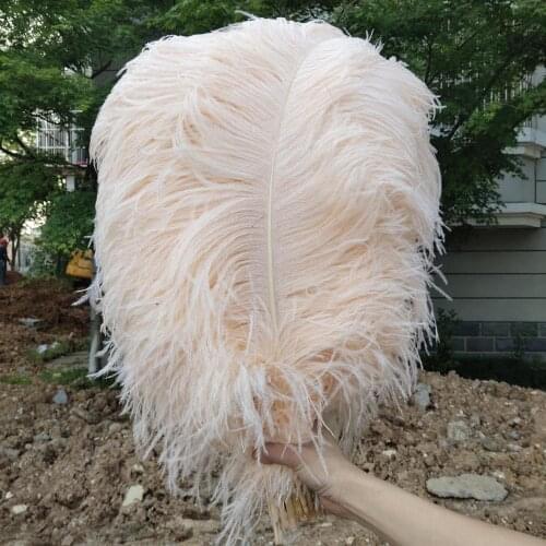 Hot Sales 100pcs Gorgeous Skin Color 22-24inches/55-60cm DIY jewelry Christmas Halloween Decoration Natural ostrich feathers