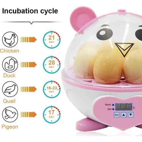 Lovely Transparent 9 Eggs Semi-automatic Incubation Brooder Cartoon Hatching Machine Manual Egg Turn Incubator