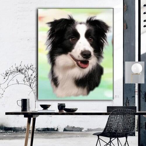 5d diy diamond painting border collie pattern full square round diamond embroidery dog rhinestones mosaic home decoration CV77
