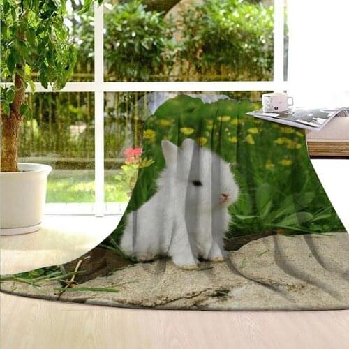 Cartoon Animal 250g Double Sided Flannel Blanket Printing Pattern Short Plush Soft Comfortable Household Blanket Anti-Pilling