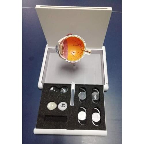 Cataract eyeball model Eye anatomy teaching aid medical teaching instrument