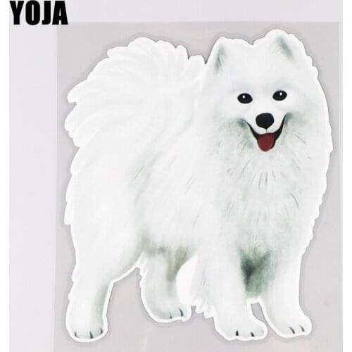 YOJA 13.7×16CM Smiling Angel Samoyed Cartoon Car Sticker Bumper Window Decoration Accessories 19B-0090