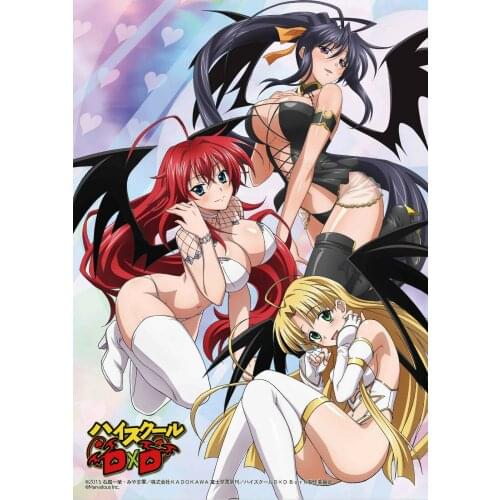 Hot Japan Anime High School DxD Akeno Art Film Print Silk Poster Home Wall Decor 24x36inch