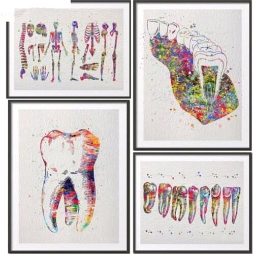 Watercolor Dental Molar Teeth Root Anatomy Diy Diamond Painting Full Square Drill Diamond Embroidery Easter Gift Wall Art Crafts