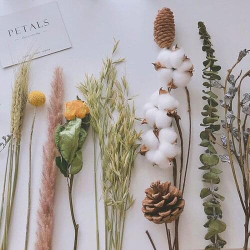 DIY Bouquet Eucalyptus Cotton Pampas Grass Natural Dried Flowers Desk Decoration Centerpieces Table Accessories Photo Ddecor