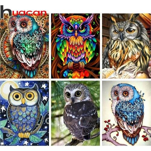 Huacan Diamond Painting Embroidery Animal Full Square Drill Diamond Mosaic Cross Stitch Owl Art Home Decor