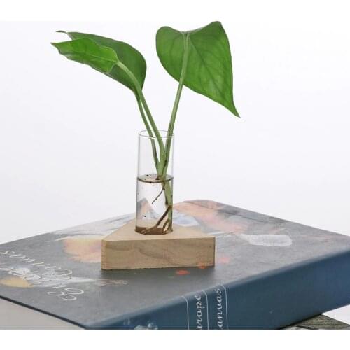 2pcs Glass Test Tube Vase In Wooden Stand For Hydroponic Plants DIY Planting