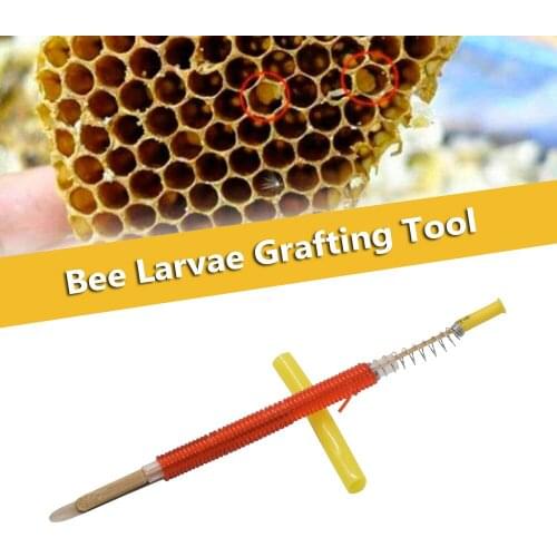 5Pcs Beekeeping Grafting Tool Queen Bee Larvae Retractable Move Needle Beekeeper Bee Hive Rearing Equipment