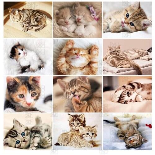 5D Diy Diamond Painting Cute Kitten Diamond Embroidered Cat Animal Picture Full Square Round Mosaic Home Wall Decoration Gift