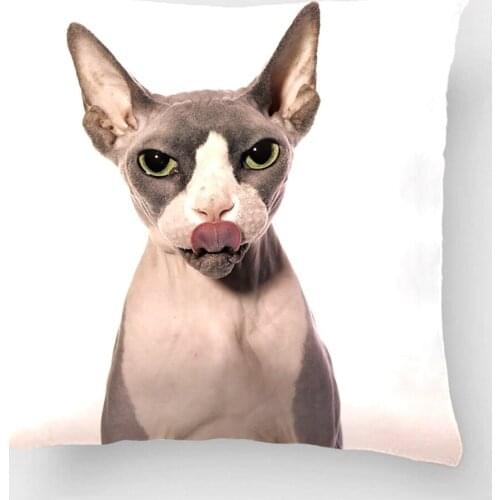 Sphynx Cat With Tongue Out Wedding Decorative Cushion Cover Pillow Case Customize Gift By Lvsure For Car Sofa Seat Pillowcase