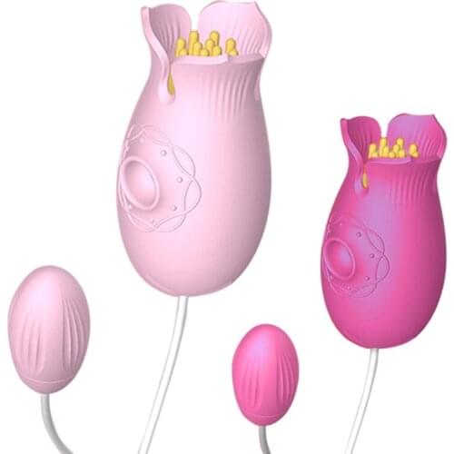 Women Bride Anime Cosplay Lingerie Set Ruffles Lace Pink Bodysuit with Wedding Veil Choker Erotic Underwear Nightwear