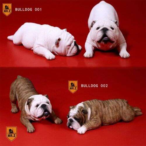 1/6 scale two suits Mr.Z male/female sleeping English bulldog simulation animal model toy 12' scene animal model decoration