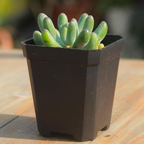 5Pcs Square Flower Pots Plant Pot Mini Practical Plastic Pots Flower Without Plants Succulent Plates Planters Flowerpots O7H7