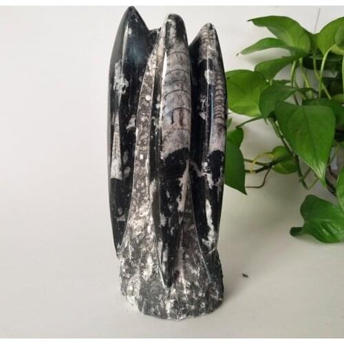 Natural stones crystals Right Angle fossil mineral specimen, home decoration research and teaching stone