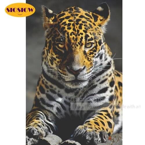 SIOSIOW Diy 5d Diamond Painting Leopard Diamond Beads Embroidery Kits Wild Animal Full Round Square Cross Stitch Home Decoration