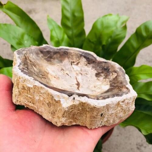 MOKAGY 600g-3000g Natural Wood Fossils Quartz Ashtray Stone Crystal Bowl Soapbox 1pc