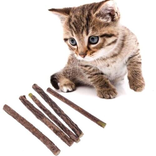 T84E 5pcs Natural Catnip Cat Molar Silvervine Stick Chew Teeth Cleaning Cat Mint Treating