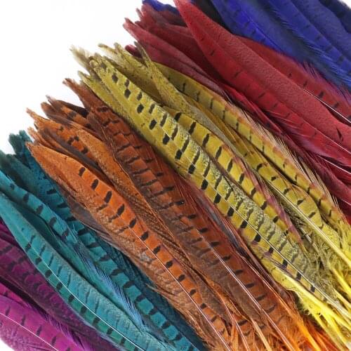 Wholesale 20/50 pcs Dyed Pheasant Tail feather 25-30cm Pheasant Tail DIY Headdress Carnival part Decorations feathers Crafts