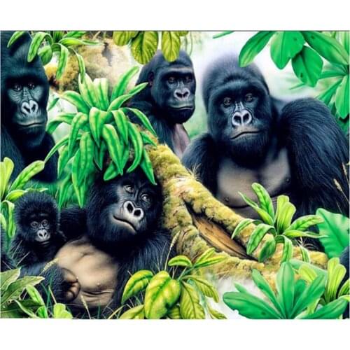 Chimpanzee diamond painting animal Diy diamond embroidery 5D square round mosaic picture of rhinestone drop shippingZP-3223