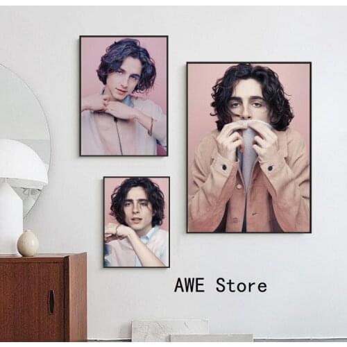 Timothee Chalamet Elio Call Me By Your Name Hot Movie Canvas Painting Silk Posters And Prints Wall Art Home Decor Obrazy Plakat