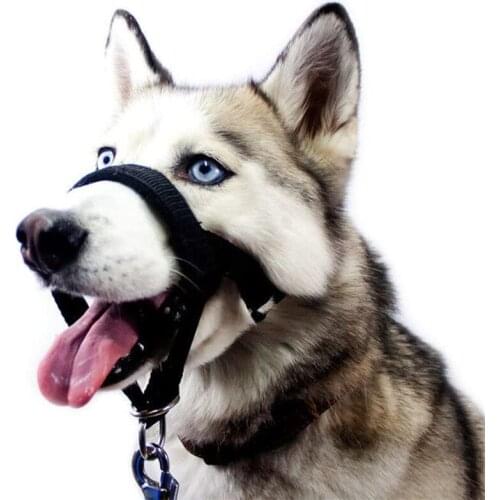 Pet mouth cover dog mouth cover adjustable anti bite mask pet traction set dog mouth cover training with pet supplies