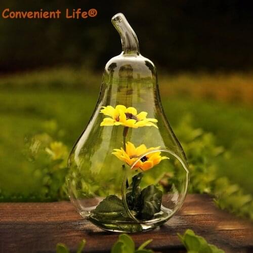 Succulent Vase Ball Shaped Flower Glass Planter Plant Growth Cultivate Terrarium