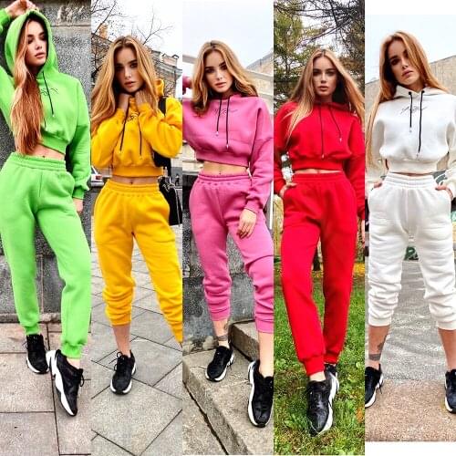 Casual Loose Womens Two Piece Set Hoodies Autumn Winter Tracksuit Fleece Warm Fashion Solid Sports Jogging Suits 10 Colors