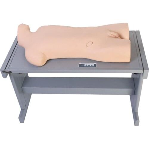 Liver abscess puncture and thoracic puncture training model