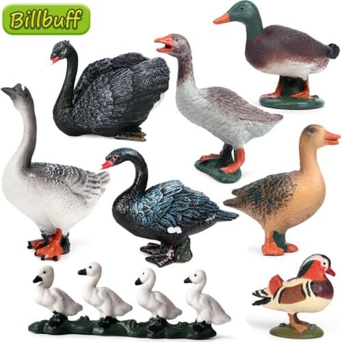 1Pcs DIY Simulation Farm Animals Swan Duck Model Action Figures Collection Miniature Cognition Educational Toy for children Gift