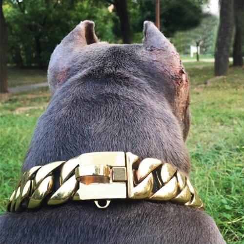 Cool Pitbull Bulldog 32mm Stainless Steel Metal Pet Training Choke Chain Gold Dog Collar for Small Medium Large Dog Accessories
