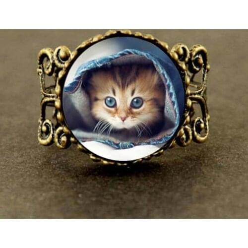 Jewelry steampunk cat angry kitty cat wear hat jewelry animal Ring women accessories gifts