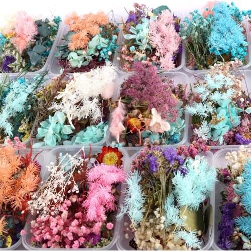 1 Box Mix Dried Flower Plants Aromatherapy Candle Epoxy Resin Pendant Necklace Jewelry Making Craft DIY Accessories Materials