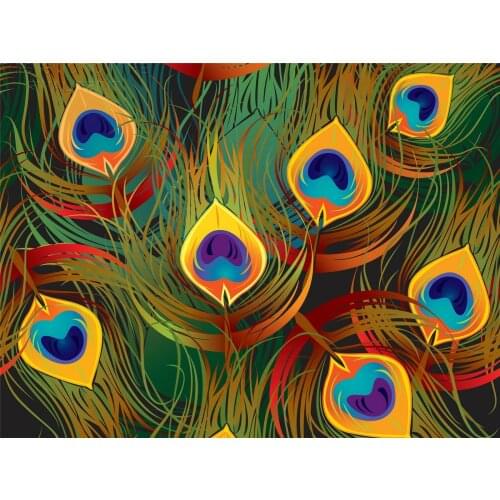 PAINTING DRAWING CARTOON FEATHER PATTERN Art print Silk poster Home Wall Decor