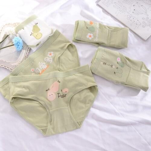 Young girl Underwear 5pc/lot Cotton Lovely lace middle Waist Briefs student Panties children green Teenagers fruit mix style L X
