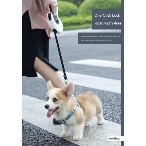 Dog Hand Holding Rope Retractable Dog Leash Walking Dog Hand Holding Rope Teddy Dog Chain Dog Leash Small Dog Medium Large