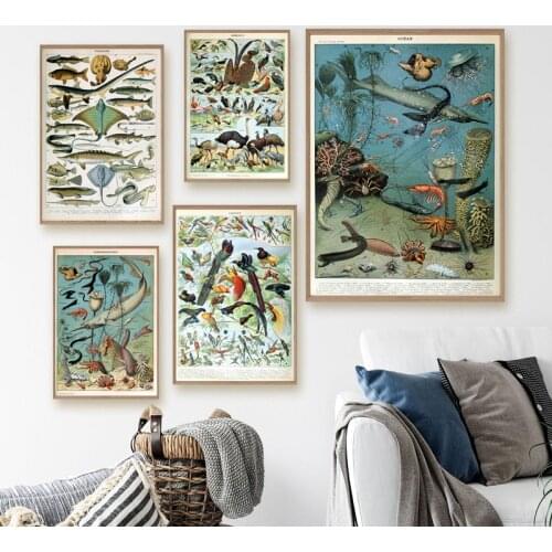 French Painter Adolphe Millot Artwork Canvas Painting Wall Pictures Vintage Abstravt Plants Animals Art Prints Farmhouse Decor