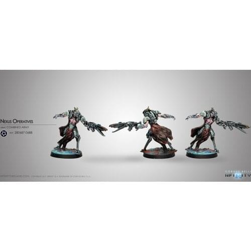 28311 Combined Army Nexus Operatives