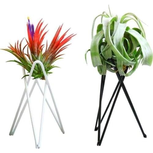 Air Pineapple Soilless Plants Creative Home Iron Indoor Black And White Bracket Desktop Purification Green Potted Plants
