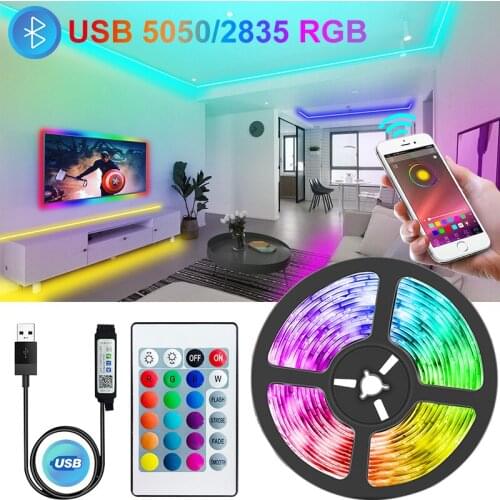 LED Lights Strips USB Infrared Control RGB SMD2835 DC5V Lamp Tape Diode 1M 2M 3M 4M 5M Flexible Remote Control Lighting LED Lamp