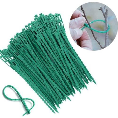 Adjustable Plastic Garden Orchard Cable Ties Plant Support Shrubs Fastener Tree Locking Nylon Reusable Ties опора для растений