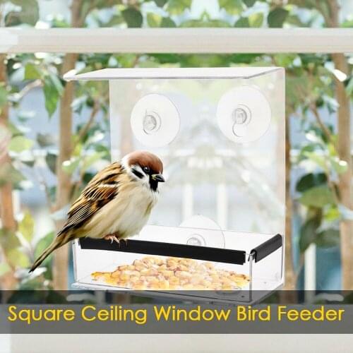 1PCS Transparent Acrylic Weatherproof Bird Feeder Clear Ceiling Window Squirrel Proof Absorption Installation
