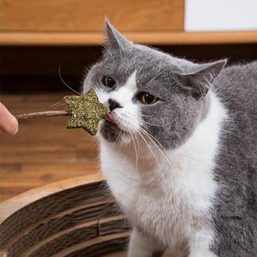 1PCS Legendog Cat Catnip Toy Cute Lollipop Silvervine Ball Natural Catnip Treat Ball Cat Teething Toy Cat Funny Favor Toy