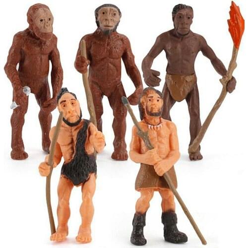 5pcs/set Human Evolutionary History Displays Figures Models Australopithecus Homo Sapiens Kids Educational Toys Gifts