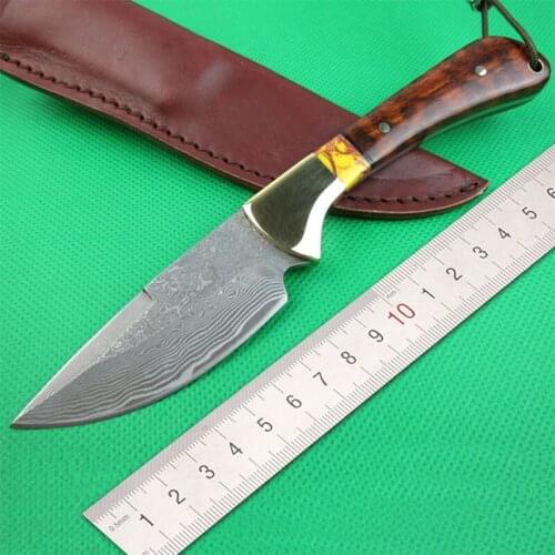 Free shipping High-end snake pattern wood handle Damascus straight knife Collect the hunting knife Outdoor tools