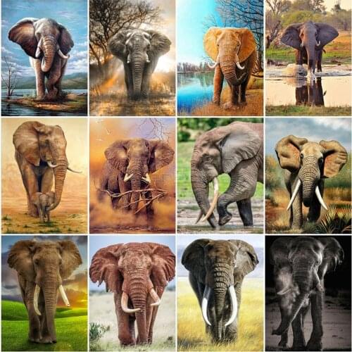 EverShine Elephant Diamond Painting Full Square Animals Cross Stitch Diamond Embroidery Sale Bead Picture Kits Wall Decoration