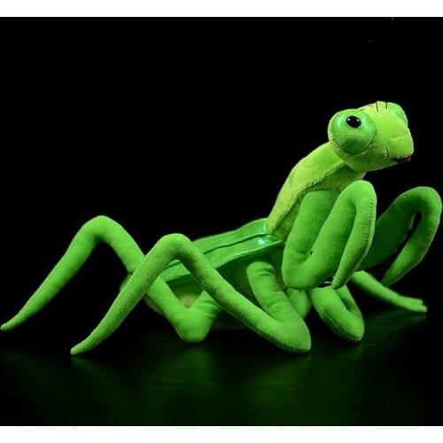 Lifelike Chinese Mantid Plush Toys Real Life Insect Mantis Stuffed Animals Toy Soft Educational Rearhorse Toys For Kids