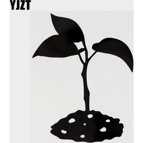 YJZT 12.7CM×16.4CM Funny Plant Seed Vinyl Car Sticker Decal Decor Accessories 18B-0208