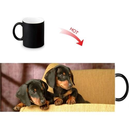 12oz dachshund sausage dog Heat Reveal Magic Mug Color Change Coffee Milk Tea Cup Customized Hot Sensitive Mugs